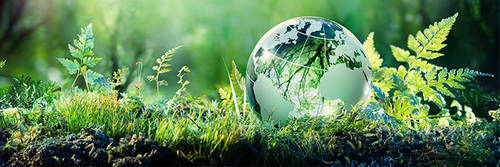 Banner Image for Sustainability and the Pace of Change:  Friend or Foe?